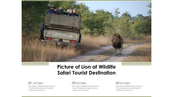 Picture Of Lion At Wildlife Safari Tourist Destination Ppt PowerPoint Presentation Model Images PDF