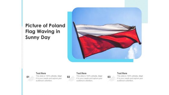 Picture Of Poland Flag Waving In Sunny Day Ppt PowerPoint Presentation Infographic Template Slideshow PDF