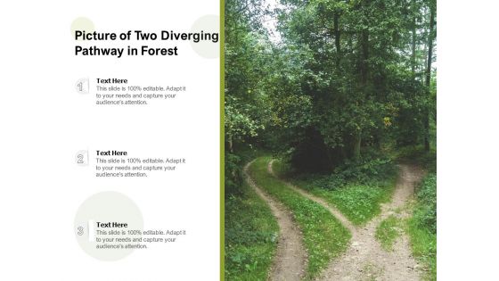 Picture Of Two Diverging Pathway In Forest Ppt PowerPoint Presentation Layouts Show PDF Picture Of Two Diverging Pathway In Forest Ppt PowerPoint Presentation Layouts Show PDF