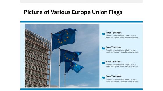Picture Of Various Europe Union Flags Ppt PowerPoint Presentation Ideas Outfit PDF