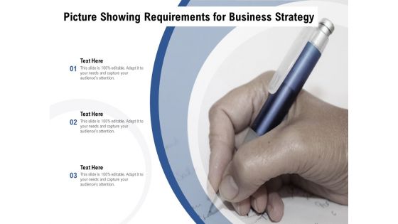 Picture Showing Requirements For Business Strategy Ppt PowerPoint Presentation Portfolio Slides