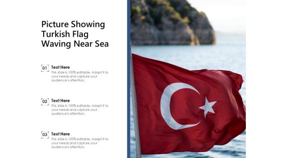 Picture Showing Turkish Flag Waving Near Sea Ppt PowerPoint Presentation File Rules PDF