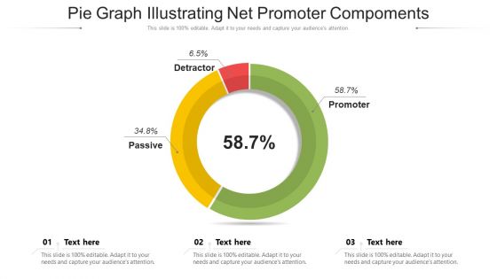 Pie Graph Illustrating Net Promoter Compoments Ppt Outline Mockup PDF