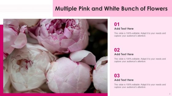 Pink Color Ppt PowerPoint Presentation Complete Deck With Slides