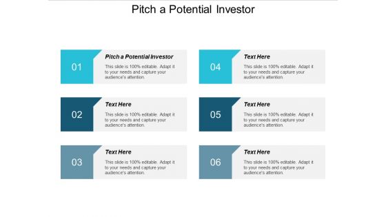 Pitch A Potential Investor Ppt PowerPoint Presentation Ideas Gallery Cpb