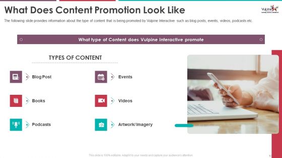 Pitch Deck Of Vulpine Interactive Fundraising Ppt PowerPoint Presentation Complete Deck With Slides