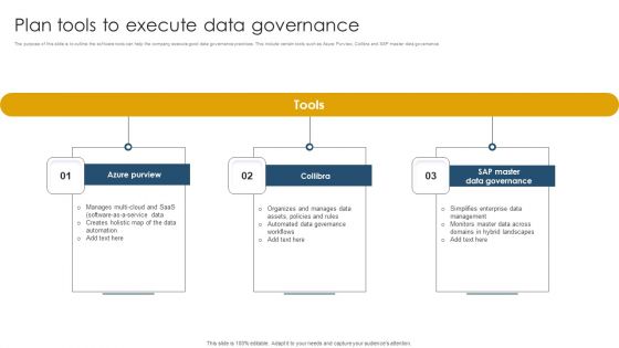 Plan Tools To Execute Data Governance Ppt Summary Examples PDF