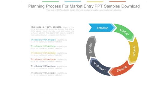 Planning Process For Market Entry Ppt Samples Download