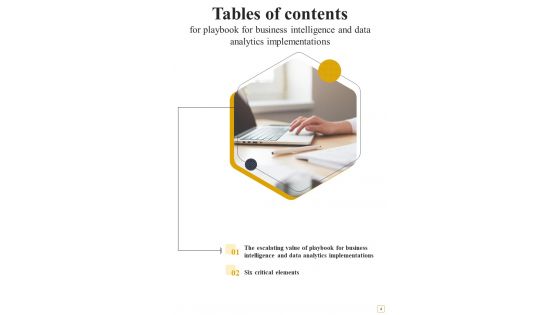 Playbook For Business Intelligence And Data Analytics Implementations Template