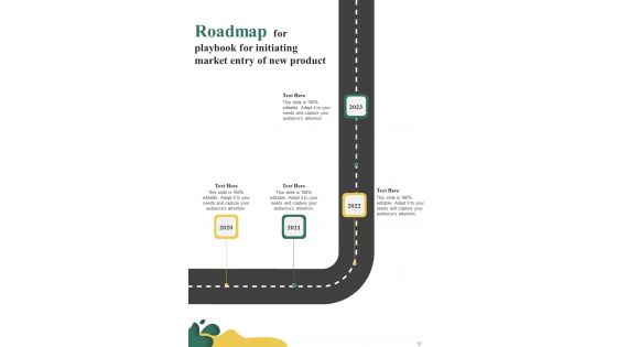 Playbook For Initiating Market Entry Of New Product Template