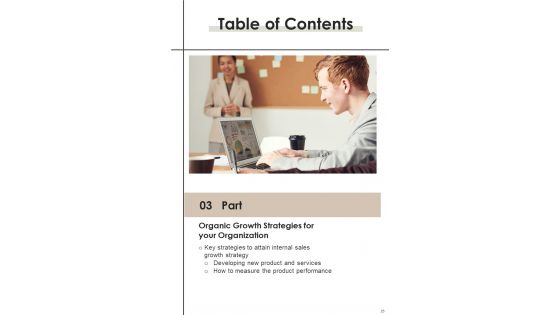 Playbook For Internal Sales Improvement Template