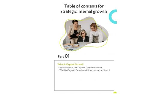 Playbook For Strategic Internal Growth Template