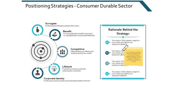 Positioning Strategies Consumer Durable Sector Ppt Powerpoint Presentation Slides Infographic Template