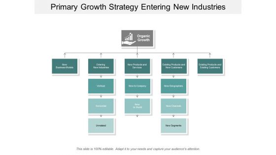 Primary Growth Strategy Entering New Industries Ppt Powerpoint Presentation Summary Example