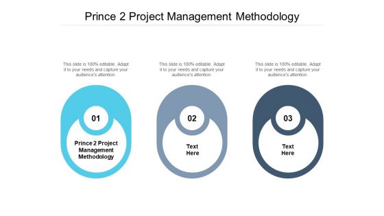 Prince 2 Project Management Methodology Ppt PowerPoint Presentation Layouts Tips Cpb Pdf