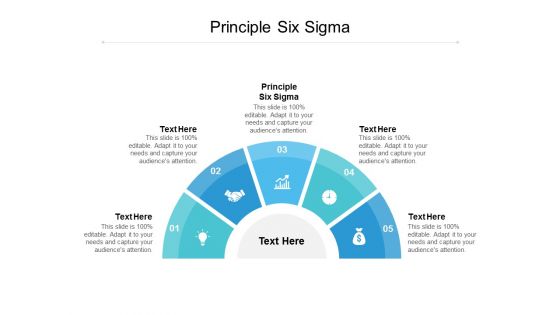 Principle Six Sigma Ppt PowerPoint Presentation Slides Inspiration Cpb