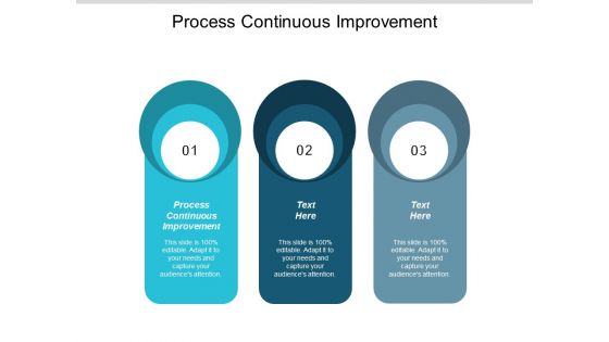 Process Continuous Improvement Ppt Powerpoint Presentation Model Gallery Cpb