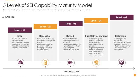 Process Enhancement Program Success 5 Levels Of SEI Capability Maturity Model Ideas PDF