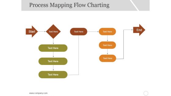 Process Mapping Flow Charting Ppt PowerPoint Presentation Infographic Template Graphics Pictures