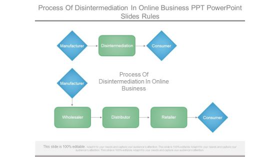 Process Of Disintermediation In Online Business Ppt Powerpoint Slides Rules