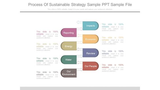 Process Of Sustainable Strategy Sample Ppt Sample File