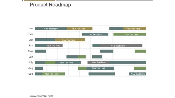 Product Roadmap Ppt PowerPoint Presentation Example