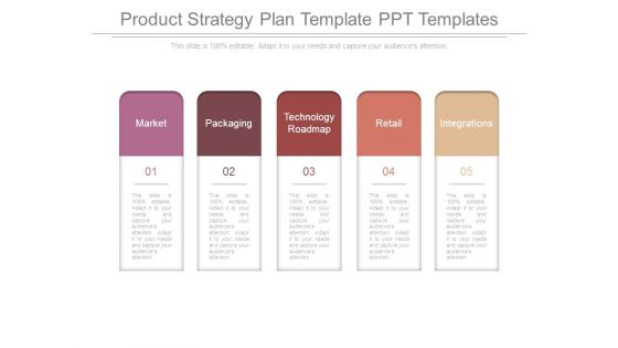 Product Strategy Plan Template Ppt Templates