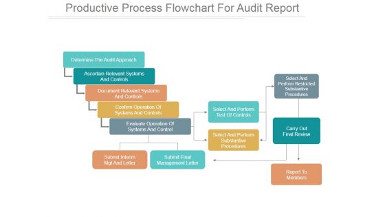 Productive Process Flowchart For Audit Report Ppt PowerPoint Presentation Samples