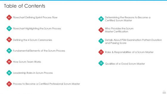 Professional Scrum Master Process IT Ppt PowerPoint Presentation Complete Deck With Slides