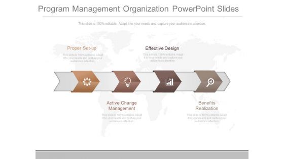 Program Management Organization Powerpoint Slides