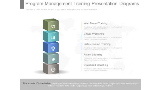 Program Management Training Presentation Diagrams