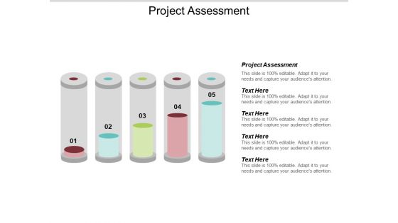 Project Assessment Ppt PowerPoint Presentation Summary Microsoft Cpb