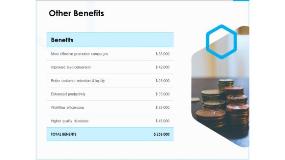 Project Budget Other Benefits Ppt PowerPoint Presentation Icon Display PDF