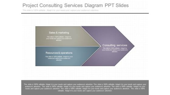 Project Consulting Services Diagram Ppt Slides