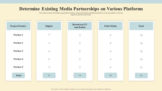 Project Coordination Plan Determine Existing Media Partnerships On Various Platforms Summary PDF