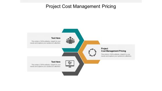 Project Cost Management Pricing Ppt PowerPoint Presentation Styles Slide Download Cpb