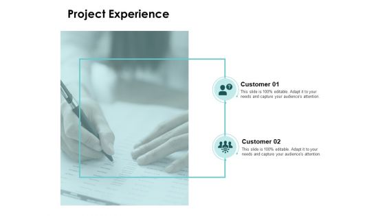 Project Experience Agenda Ppt PowerPoint Presentation Portfolio Gallery