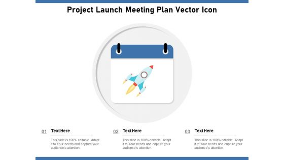 Project Launch Meeting Plan Vector Icon Ppt PowerPoint Presentation Icon Summary PDF