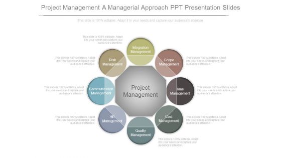 Project Management A Managerial Approach Ppt Presentation Slides