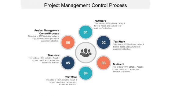 Project Management Control Process Ppt PowerPoint Presentation Gallery Slideshow Project Management Control Process Ppt PowerPoint Presentation Gallery Slideshow