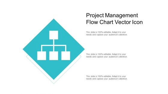 Project Management Flow Chart Vector Icon Ppt PowerPoint Presentation Model Format Ideas PDF