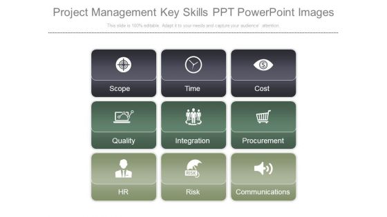 Project Management Key Skills Ppt Powerpoint Images
