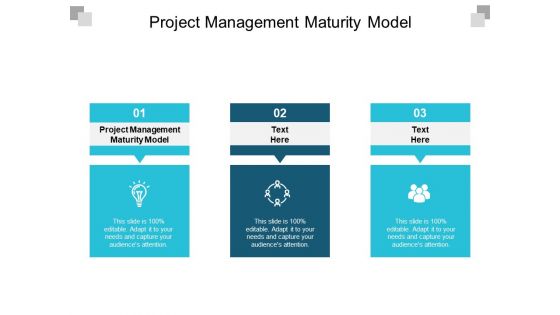 Project Management Maturity Model Ppt PowerPoint Presentation Slides Visuals Cpb