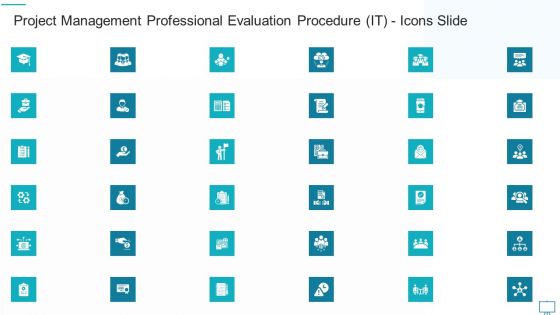 Project Management Professional Evaluation Procedure IT Icons Slide Infographics PDF