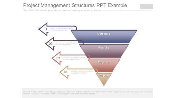 Project Management Structures Ppt Example