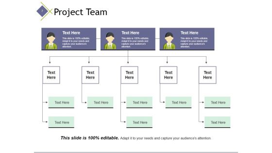 Project Management Team Ppt PowerPoint Presentation Complete Deck With Slides