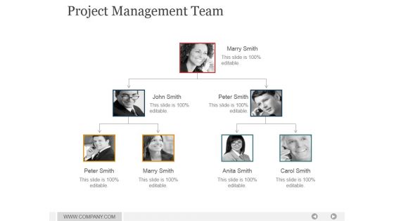 Project Management Team Ppt PowerPoint Presentation Guide