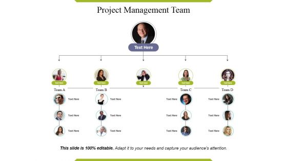 Project Management Team Ppt PowerPoint Presentation Layouts Layout Ideas