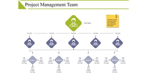 Project Management Team Ppt PowerPoint Presentation Show Images