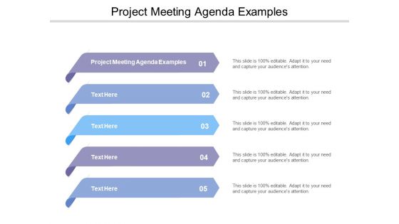 Project Meeting Agenda Examples Ppt Powerpoint Presentation Summary Layout Cpb